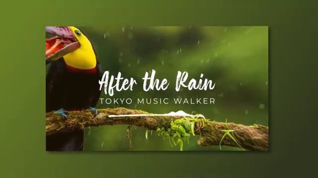 🥝 Free Free Lofi Music (For YouTube) - _After the Rain_ by Tokyo Music Walker 🇯🇵