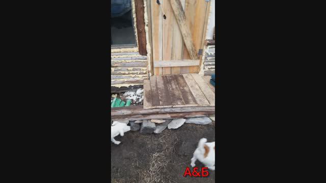 Бросили стройку?!😱 Неееет!😁 Встретимся уже на снегоходе!🖐 16.10.2022