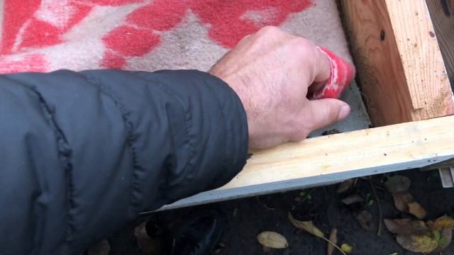 Стан бджолиних сімей на 25 жовтня у різних конструкціях вуликів