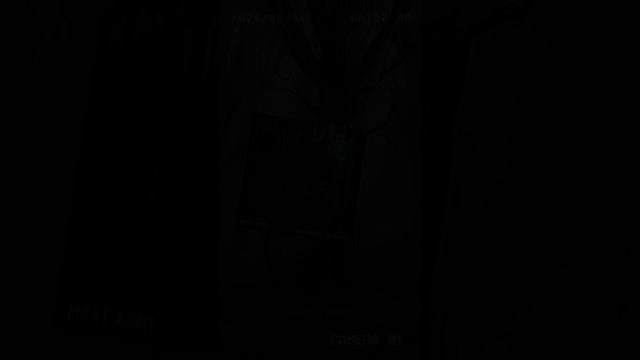 MXST ACHE - Turn off the darkness