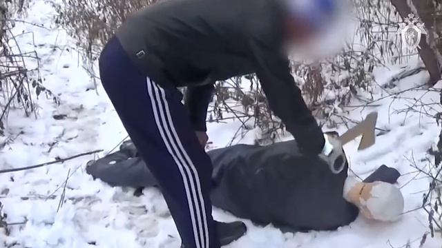 Житель Хакасии убил табуреткой и расчленил своего соседа