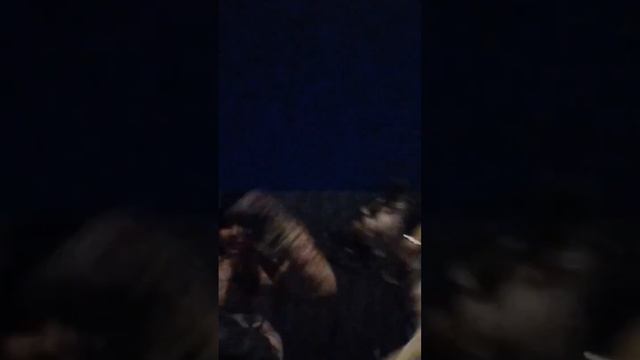 команда "атакуй" команда выполняется в толстой куртке которое собака не прокусит!