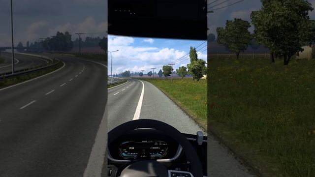 ГОНЯЮ КАК БЕШЕНЫЙ В ETS 2.ЭКСПРЕСС ДОСТАВКА ВИНОГРАДА #shorts