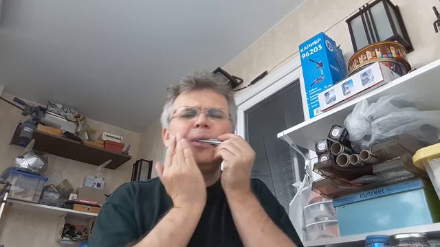 Виртуозная игра на варгане Сергея Литвинова большом.