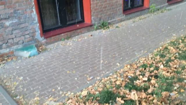 В Нижнем Новгороде выпал первый снег