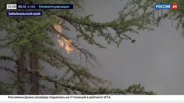 Россия 24, Борьба с лесными пожарами, 30 июня 2024