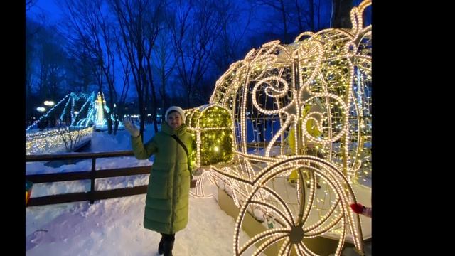 Южно-Сахалинск в новогодние праздники. В городском парке.