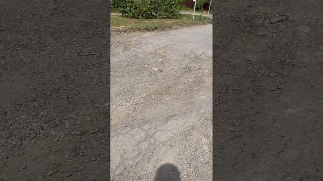 Жители Батайска возмущены полуметровыми ямами по улице Щорса. 🙊