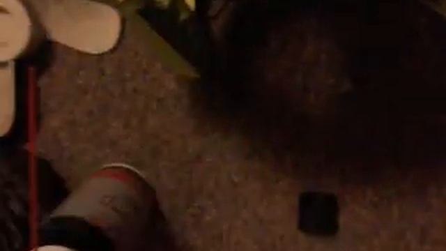 Eliminating noise of Ryobi 18V Fan - P3320 with Silicone Lubricant Spray - Part 1