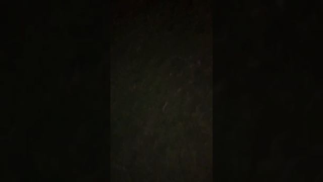 Glock 19 P80 Review (Mag Dump Included)