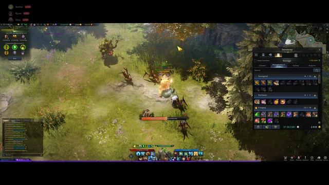 Lost Ark Platinum Field GREAT RUN / 로스트아크 플래티넘 필드 그레이트 런