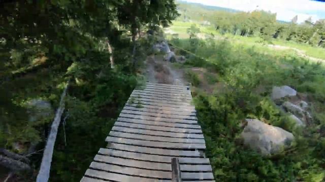 Sappee S-Linja 2019 Sappee Bike Park