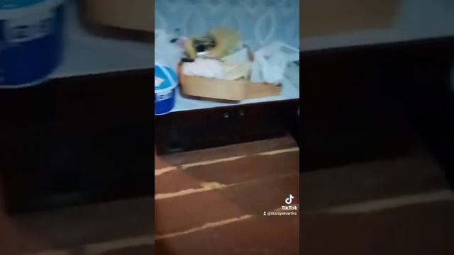 выравнивание старого пола под линолеум