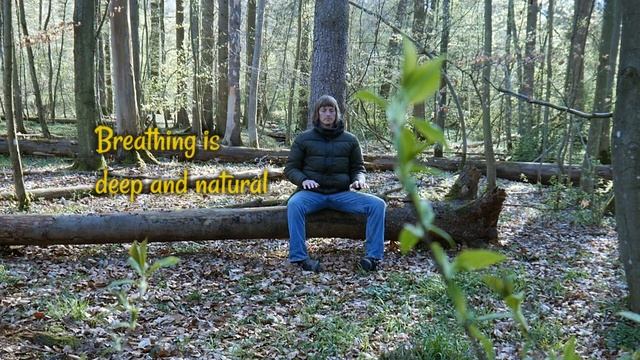 Psychedelic QiGong Meditation | get a taste video |  english