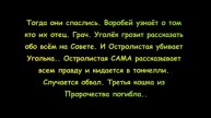 История Жизни Воробья. Коты - Воители.