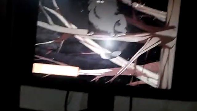 зато я спас котика