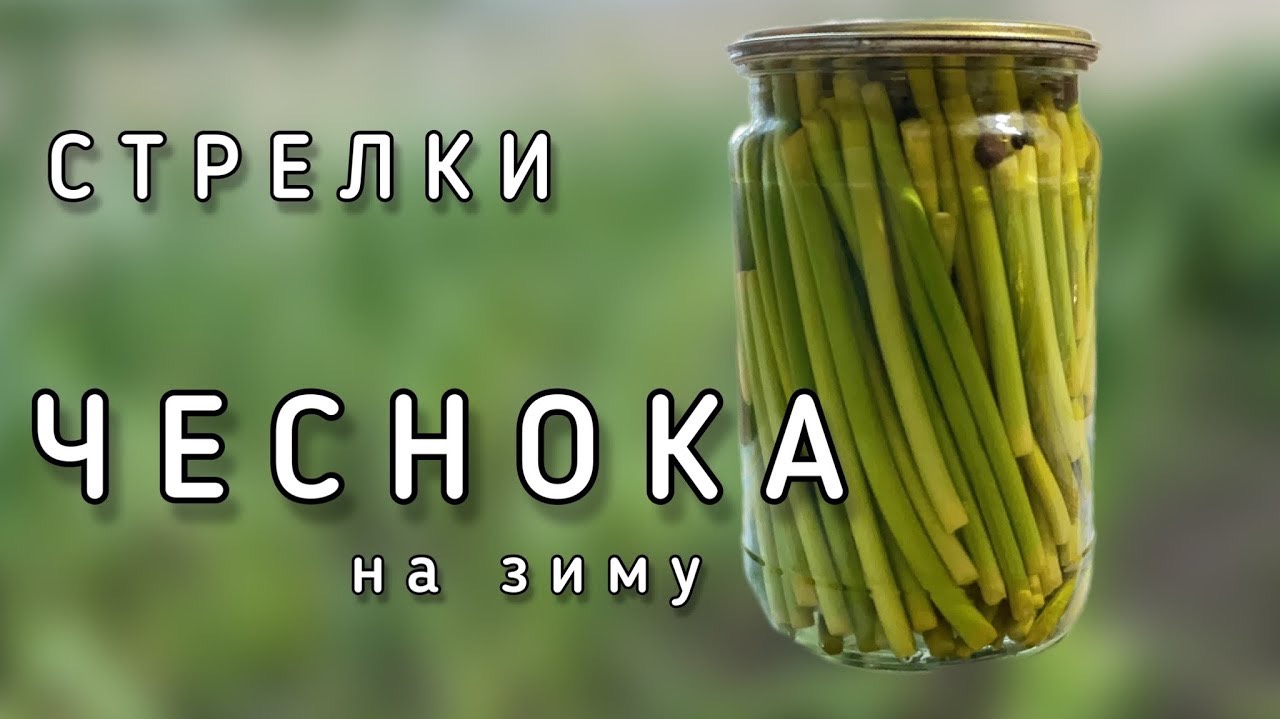 НЕ Выбрасывайте СТРЕЛКИ ЧЕСНОКА! ЭТО очень вкусно! ЗАГОТОВКИ на зиму, МАРИНОВАННЫЙ Чеснок // Лайла