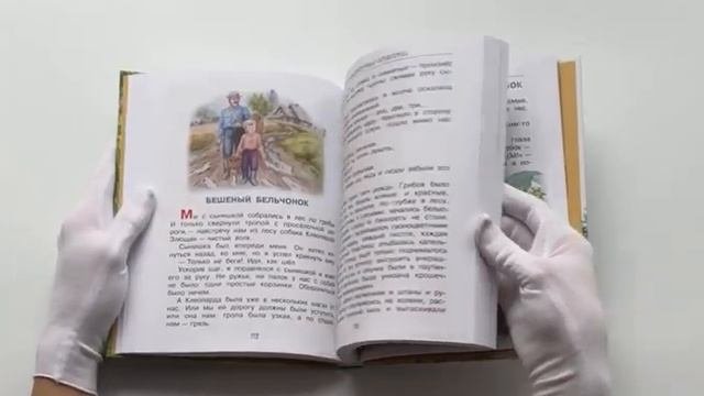 Сказки и рассказы про животных