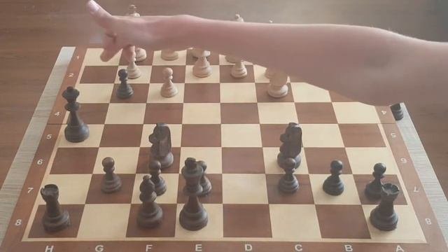 Комбинация Высшего Уровня! Самая наглая ЛОВУШКА в начале игры! Шахматы ловушки в дебюте! Шахмат