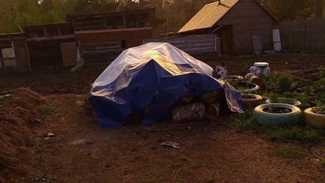 Красивая радуга. Снова дождик  на Урале. Высаживаю перцы в теплицу..