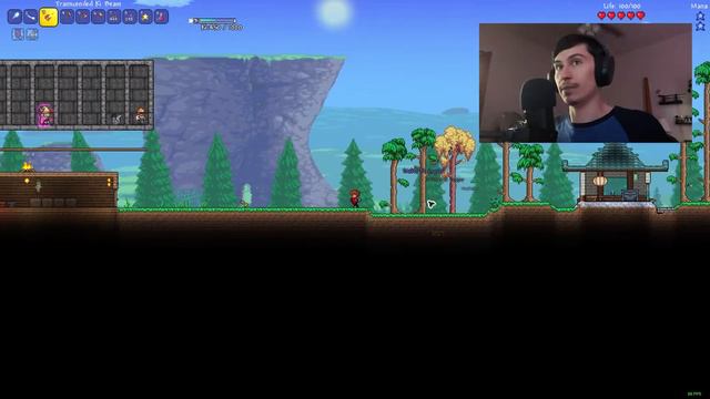 Unlocking The Secrets Of Ki! - Terraria #03