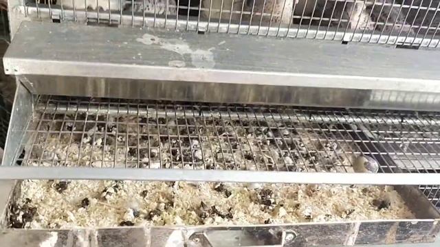 Удобные клетки для перепелов!!!