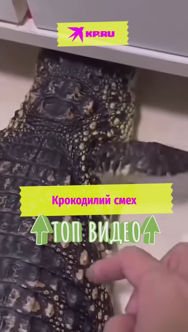 Крокодилий смех