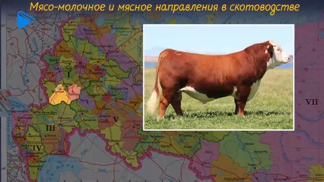 9 класс - География - Растениеводство и животноводство