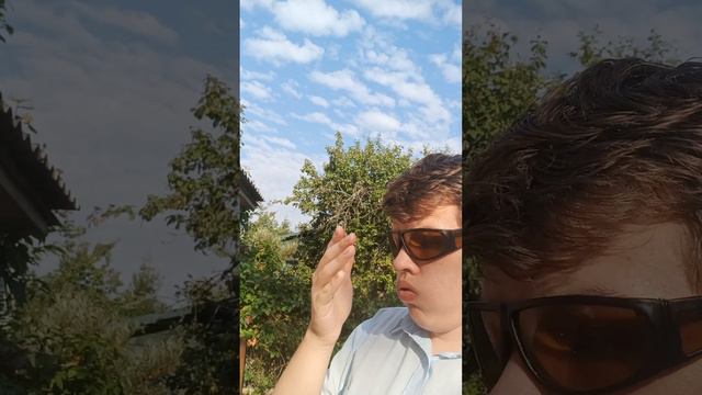 Солнечные очки (шутки,приколы)
