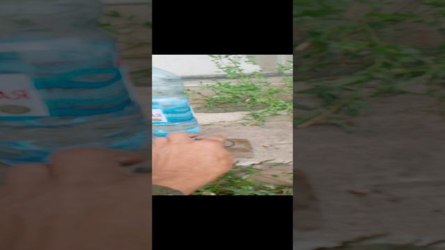полировка фар