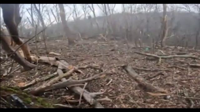 Хроники СВО Штурм опорника ВСУ