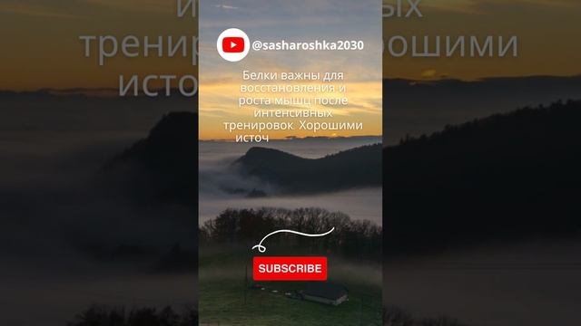 Белки - для восстановления мышц велосипед факты здоровье рекомендации здоровоепитание питание