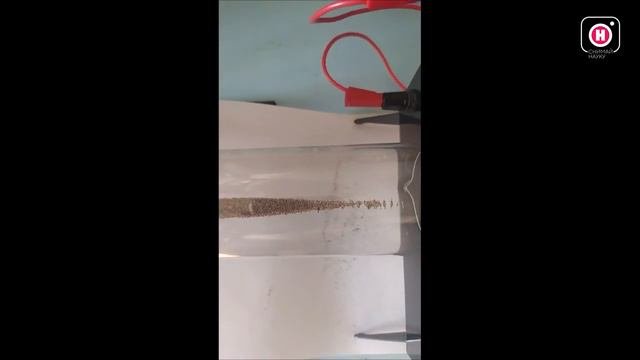 Звуковая волна