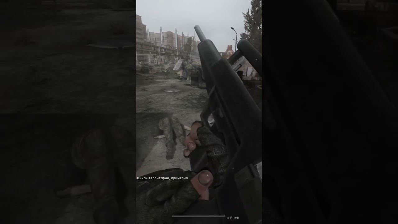 откуда ножки растут #stalker #anomaly  #custom
