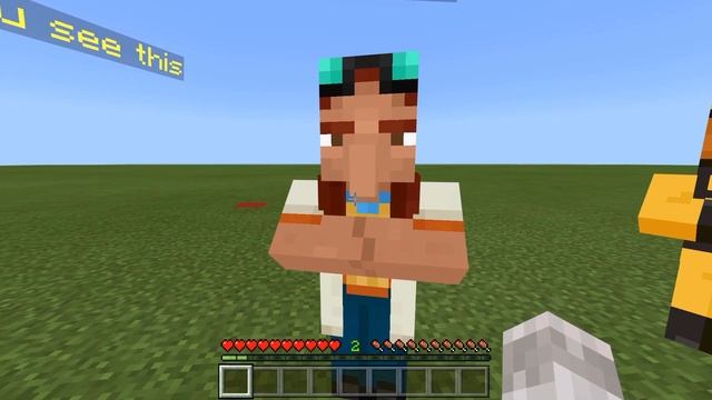 How To Make Custom NPCs In Minecraft WITHOUT Mods (PS4/Xbox/PE/Bedrock)