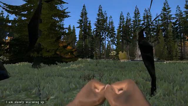 Камень, почему ты так жесток?! DayZ Sa (Aniboy)