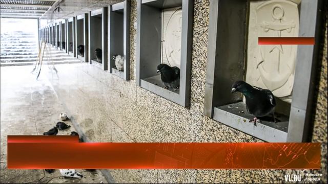 МЧС Приморья выпустило предупреждение об аномально морозной погоде