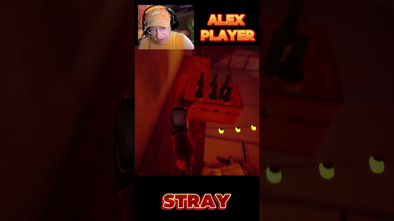 Котик разбудил робота в Stray