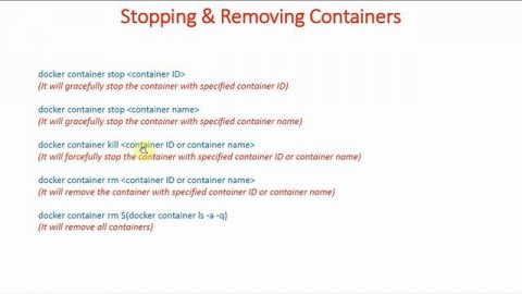 9-How to stop and remove Docker Containers -1 | Docker Tutorial for Beginners (Hindi) | Learn Docke