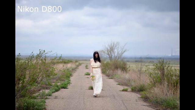 Копия видео "fuji x-t10 vs nikon d800"