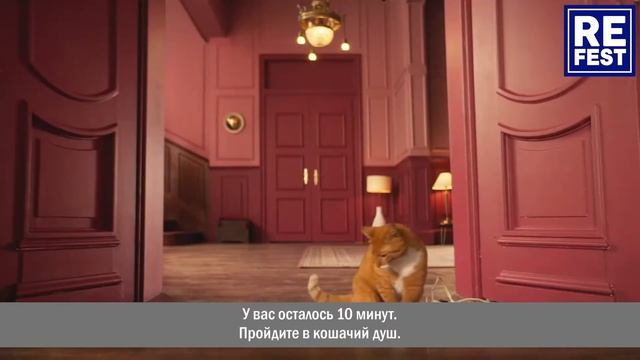 Умный дом для кошек