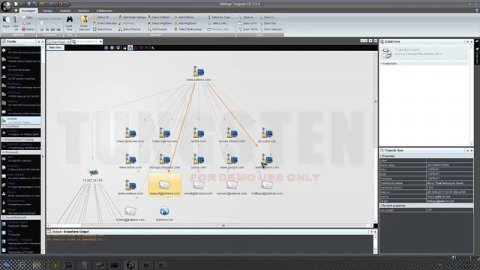 introducing Maltego The basics