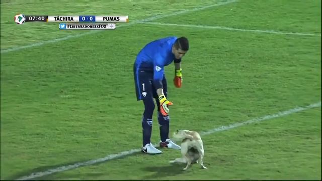 Я тоже играть хочу !!! : -)