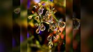 Какова природа иллюзии? 77