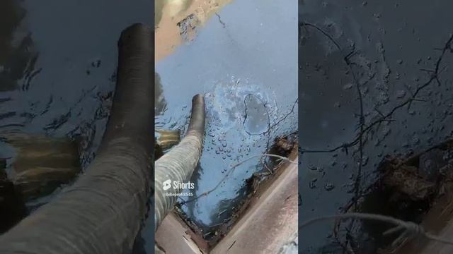 Мотопомпа старается как может