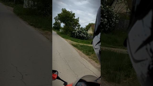 Мото жизнь