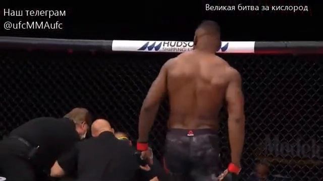 Франсис Нганну Жаирзиньо Розенструйк ufc249