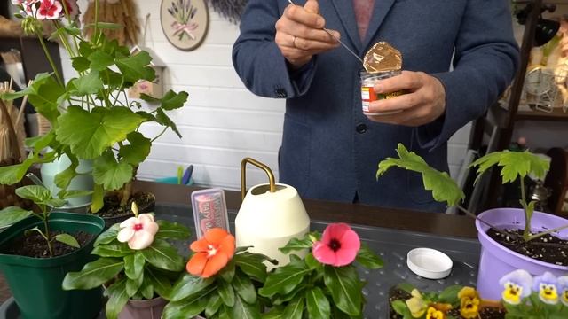 Дачные сезоны с Мариной Рыкалиной от 16 марта 2023 года