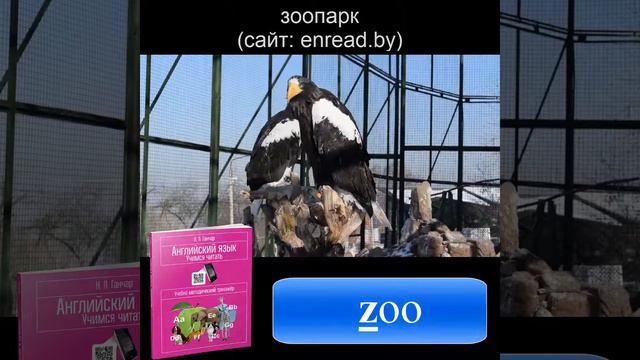 Задание Z1 / Ганчар Н.П. Английский язык. 3-4 классы. Читаем легко и весело