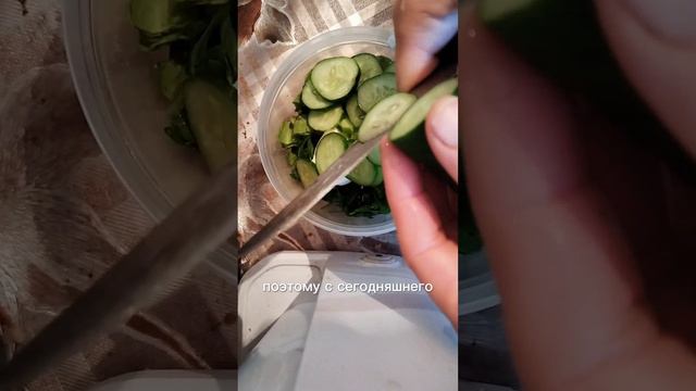 Показываю свой путь. Наблюдайте и присоединяйтесь